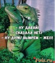 Скрин...