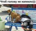 Скрин...