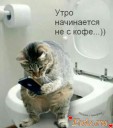 Скрин...