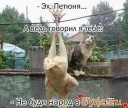Скрин...