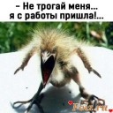 Скрин...