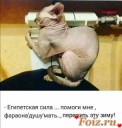 Скрин...