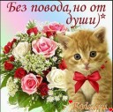 Скрин...