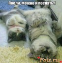 Скрин...