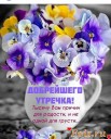 Скрин...