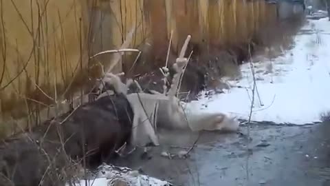 Завод_«ХТЗ»