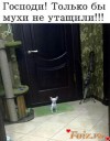 Скрин...