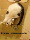 Скрин...