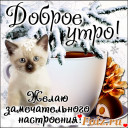 Скрин...