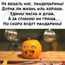 Скрин...