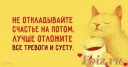 Скрин...