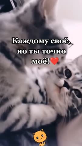 ЛюбовьKiss
