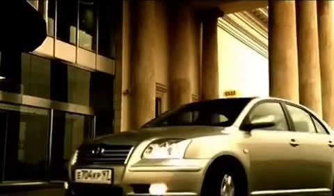 Маликов_-_Чёрный_дрозд_и_белый_аист