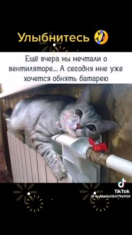 WhatsApp_Video_2024-04-24_at_05_49_14