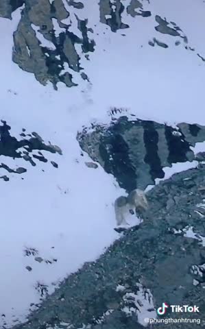 WhatsApp_Video_2024-04-24_at_11_31_51