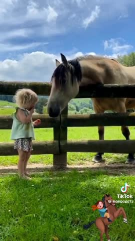 WhatsApp_Video_2024-04-30_at_20_53_37