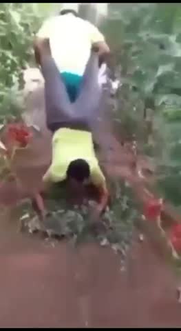 WhatsApp_Video_2024-05-04_at_08_51_44