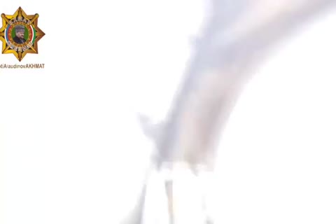 Флотилия_Петра