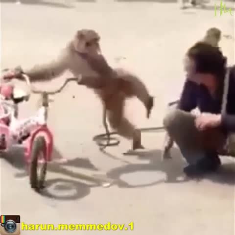 получай урод