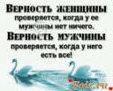 Скрин...