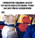 Скрин...