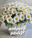Скрин...