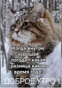 Скрин...