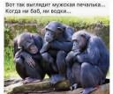 Скрин...