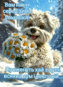 Скрин...