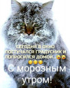 Скрин...