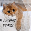 Скрин...