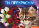 Скрин...