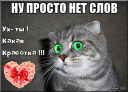 Скрин...