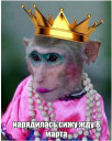 Скрин...