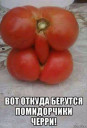 Скрин...