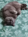 Скрин...
