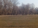 Скрин...