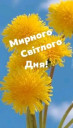 Скрин...