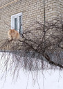 Скрин...