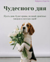 Скрин...