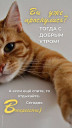 Скрин...