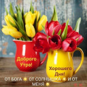Скрин...