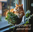 Скрин...