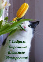 Скрин...