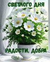 Скрин...