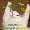 Скрин...