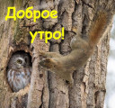 Скрин...
