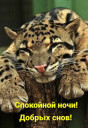 Скрин...