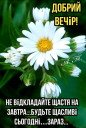 Скрин...