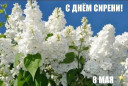 Скрин...